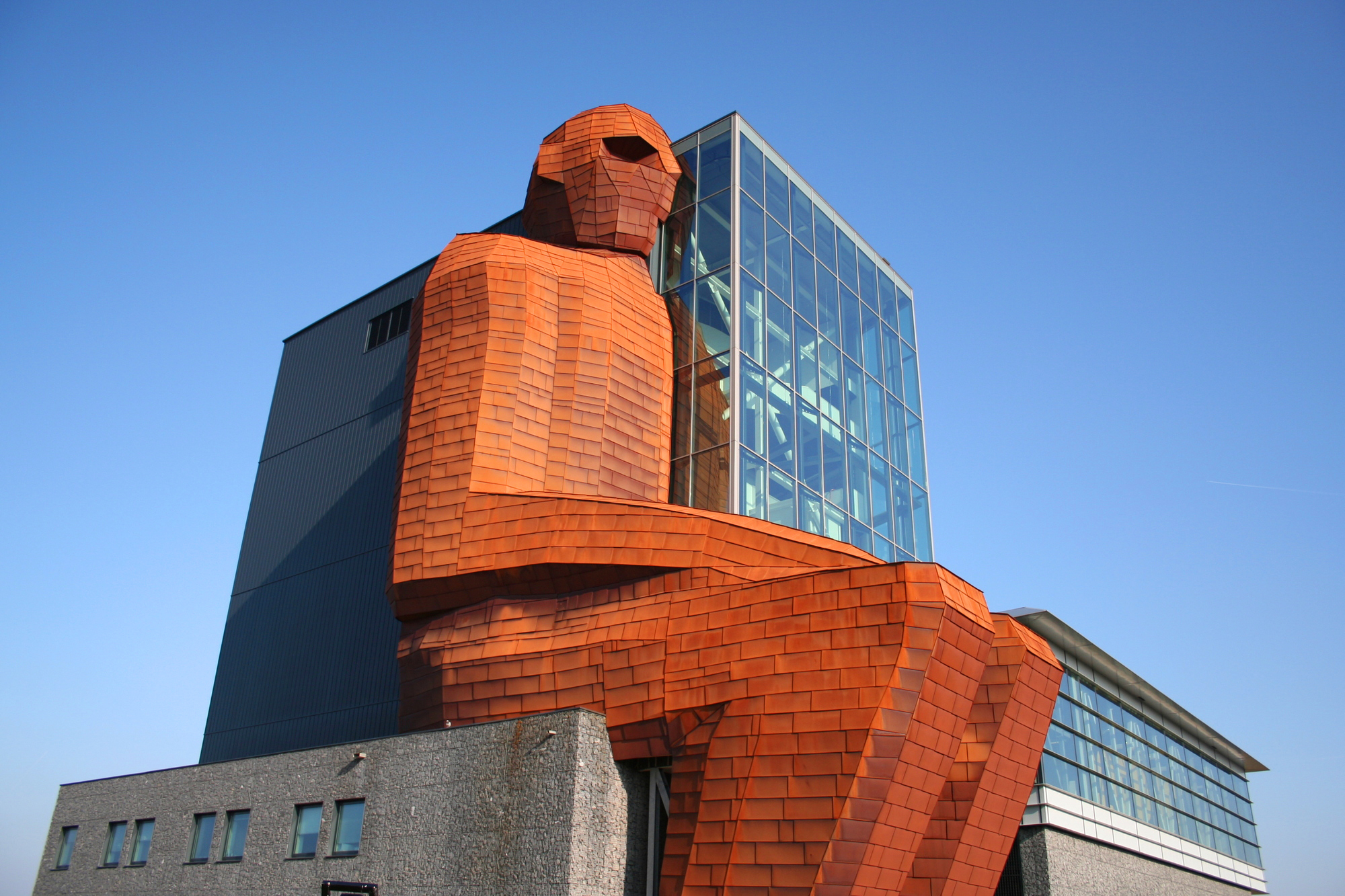 музей человеческого тела нидерланды
